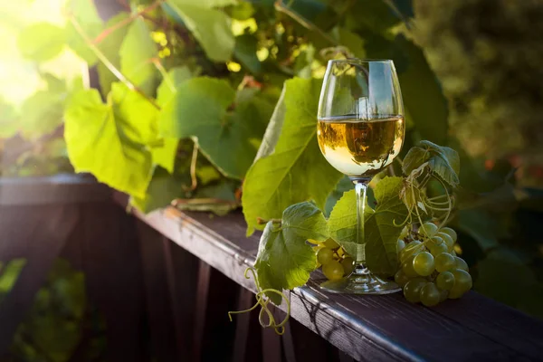 Weißwein mit Trauben. — Stockfoto