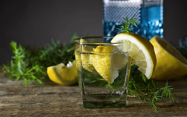 Cocktail con Gin   . — Foto Stock