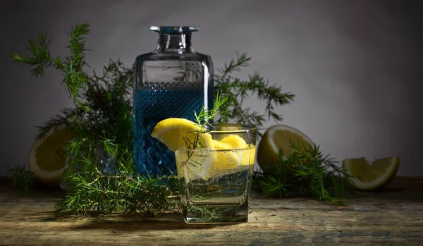 Cocktail med gin  . — Stockfoto