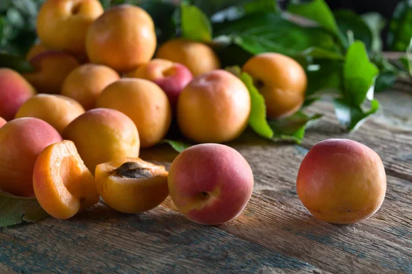 Juicy fresh apricots with leaves . — Stock Photo, Image