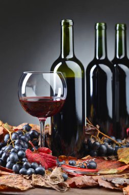 Kırmızı şarap ve üzüm. .