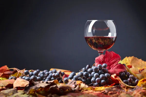 Red wine , grapes and dry vine leaves . — Stock Photo, Image