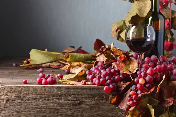 Rött vin och druva . — Stockfoto