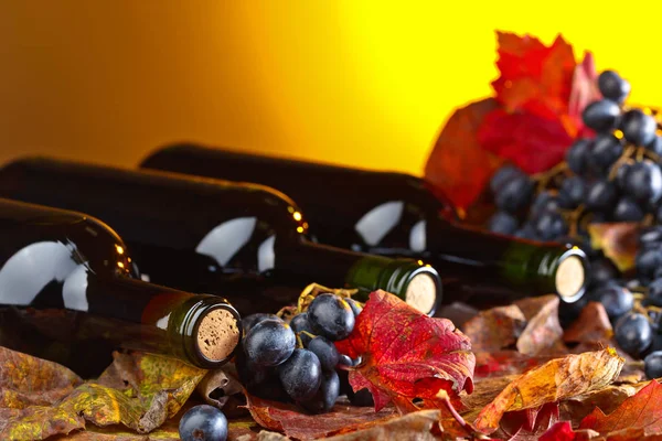 Red wine and grapes . — Stock Photo, Image