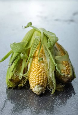 Taze tatlı mısır koçanı üzerinde .