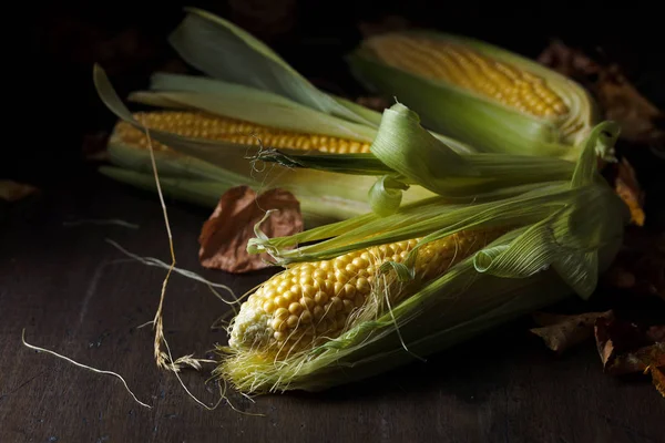 Friss csemege kukorica csövek . — Stock Fotó