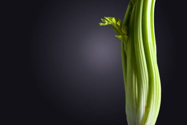 Siyah bir zemin üzerine taze organik kereviz. 