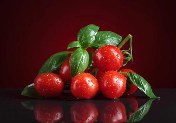 Tomates pequeños frescos con albahaca sobre fondo negro . — Foto de Stock