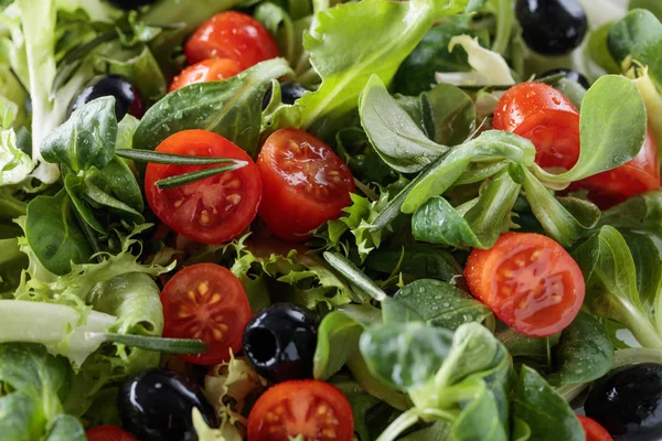 Green salad with tomatoes and black olives. — Stock Photo, Image