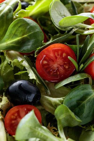 Зеленый салат с помидорами и черными оливками . — стоковое фото