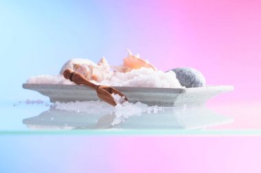 Kabukları ve deniz tuzu Spa kompozisyonu .