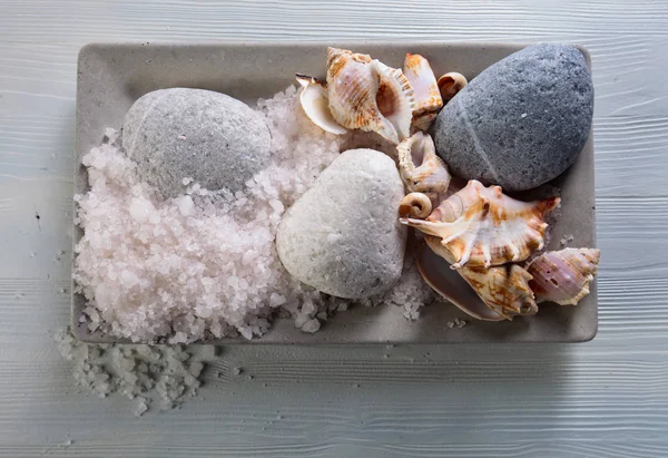 Морская соль с камнями и оболочками . — стоковое фото