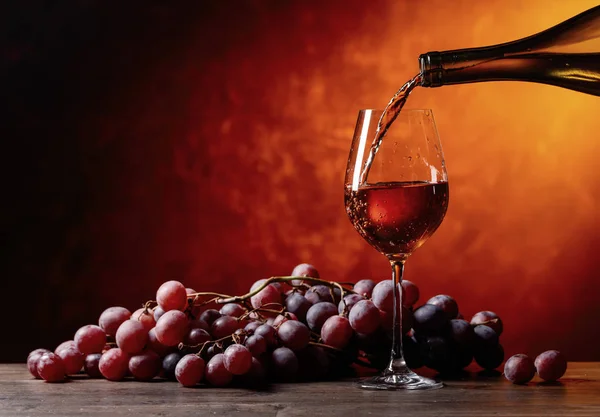 Вино и виноград . — стоковое фото