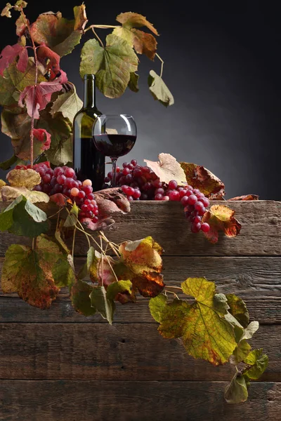 Rotwein und Trauben. — Stockfoto