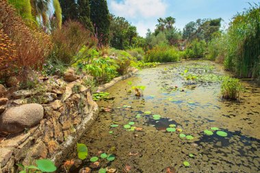 Botanik Bahçesi, İspanya Akdeniz kıyısında Blanes.