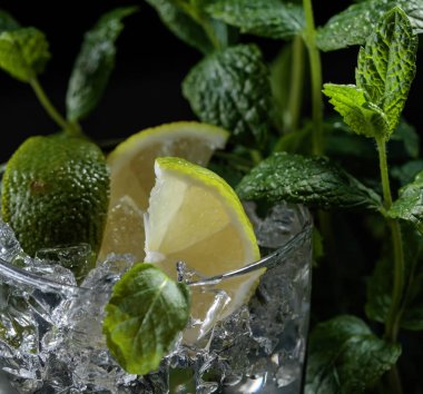 Mojito kokteyl içki kireç, buz ve nane ile .