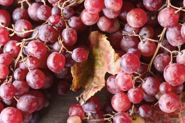 yaprakları ile üzüm.