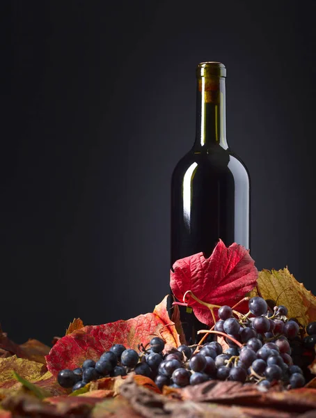 Kırmızı şarap şişesi, üzüm ve kuru asma yaprağı . — Stok fotoğraf