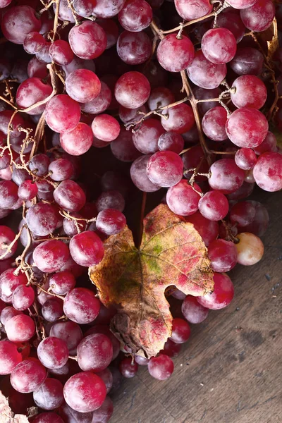 Виноград с листьями . — стоковое фото