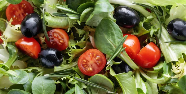 Groene salade met tomaten en zwarte olijven. — Stockfoto