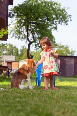 Küçük kız köpek çim ile oynarken .