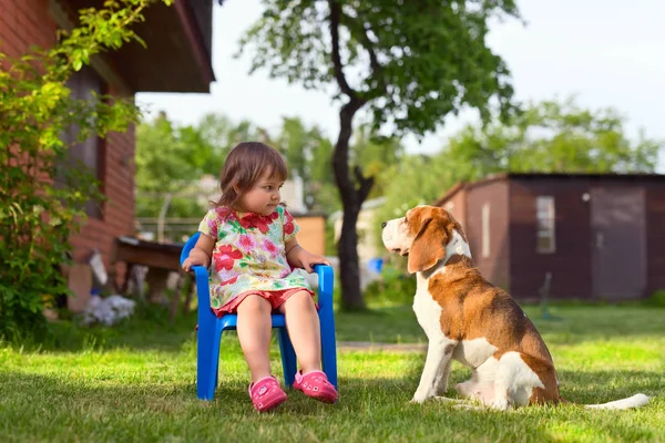 Malá dívka si hraje se psem na trávníku . — Stock fotografie