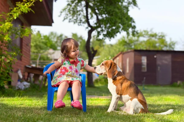 Niña jugando con el perro en el césped  . —  Fotos de Stock