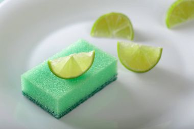 Beyaz tabak ve çanak sünger . 