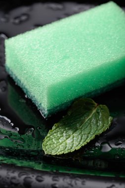 Siyah plaka ve bulaşık süngeri .