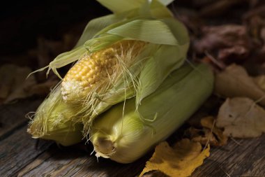 Taze tatlı mısır koçanı üzerinde .
