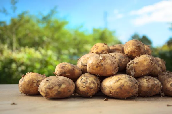 Close up of ripe raw potatoes. — Stock Photo, Image