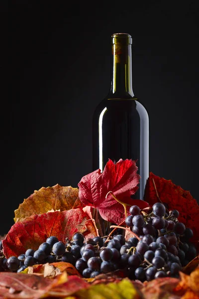 Vinho tinto, uvas e folhas secas de videira  . — Fotografia de Stock