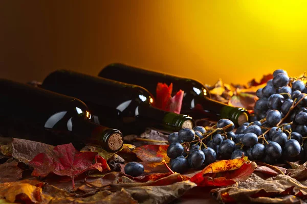 Rotwein und Trauben . — Stockfoto