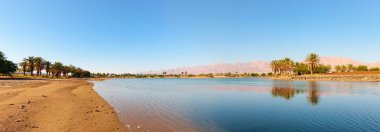 Panoramik pastoral Oasis'ın güneyinde İsrail.