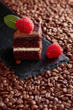 Çikolatalı kek ahududu ile closeup .