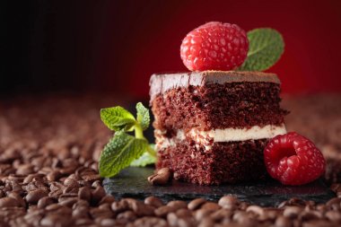 Çikolatalı kek ahududu ile closeup .