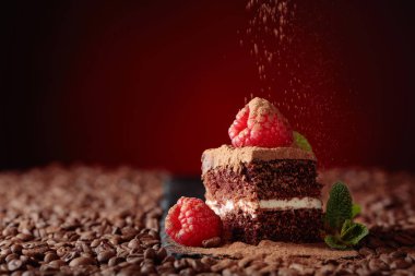 Çikolatalı kek ahududu ile closeup .