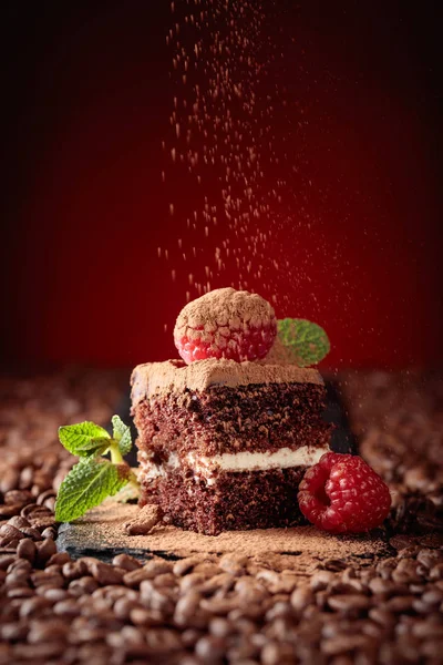 Closeup of chocolate cake with raspberry . — Stock Photo, Image