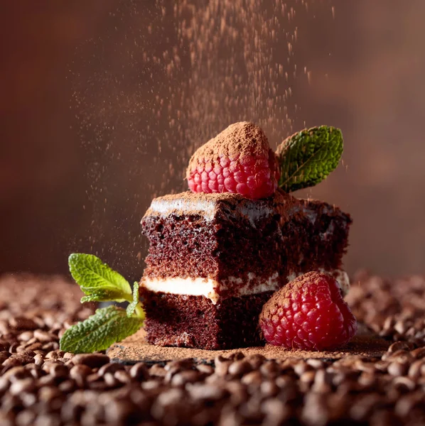 Närbild av chokladkaka med hallon och mynta . — Stockfoto