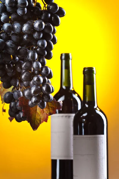 Uvas e vinho tinto . — Fotografia de Stock