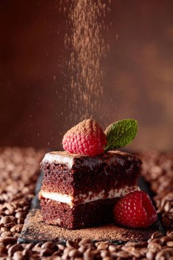 Çikolatalı kek Ahududu ve nane ile closeup .