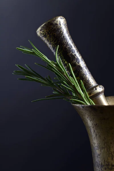 Old copper mortar with rosemary — Stock Photo, Image