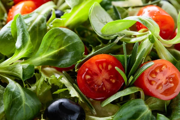 Зеленый весенний салат с помидорами и оливками . — стоковое фото