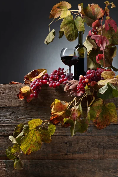 Rött vin och druva. — Stockfoto