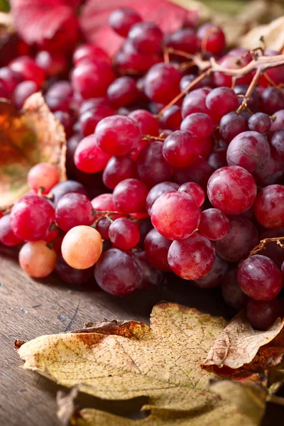 Uvas con hojas de uva . —  Fotos de Stock