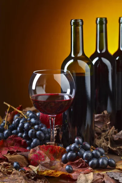 Vin rouge et raisins . — Photo