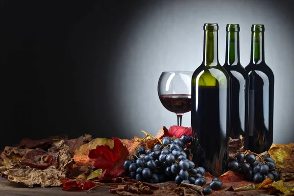 Rotwein und Trauben . — Stockfoto