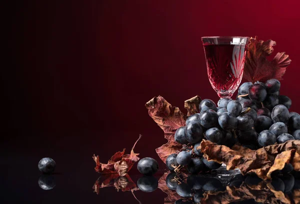 Copo de cristal de vinho tinto e uvas com folhas de videira secas . — Fotografia de Stock