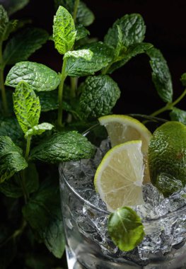 Mojito kokteyl içki kireç, buz ve nane ile .