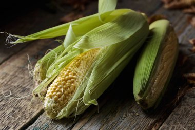 Taze tatlı mısır koçanı üzerinde .